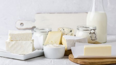 Food - Cheese